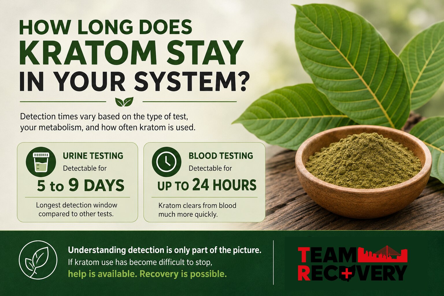 How Long Does Kratom Stay in Your System